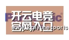 开云电竞合作伙伴四