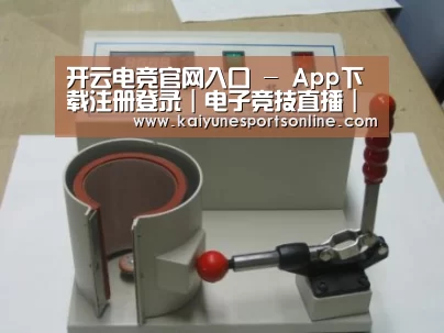 开云电竞案例展示六
