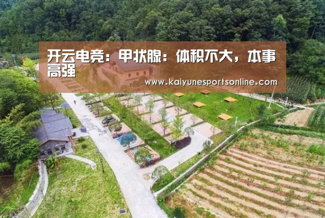 电竞官网