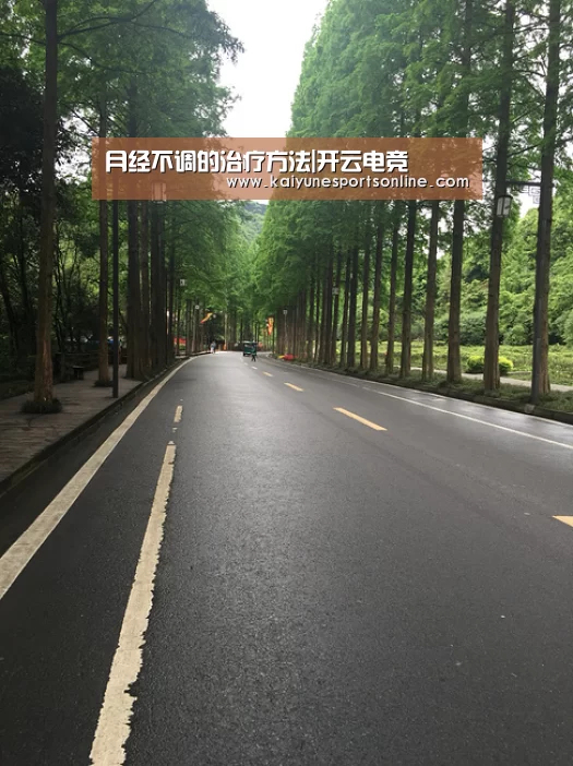 开云电竞官网