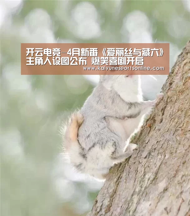 开云电竞