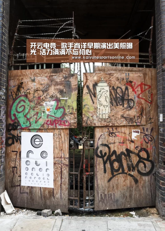 开云电竞官网