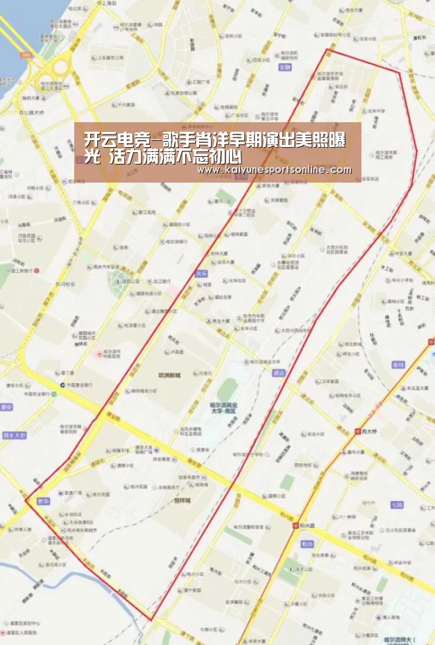 开云电竞官网