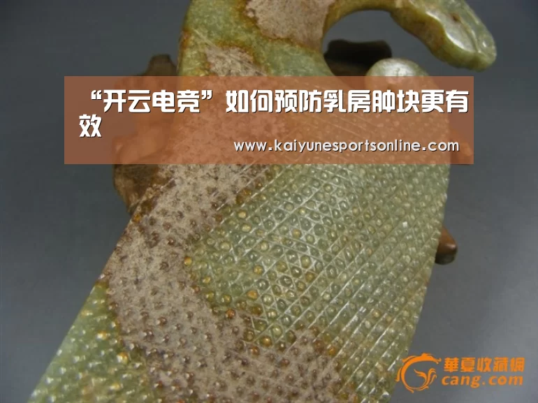开云电竞官网