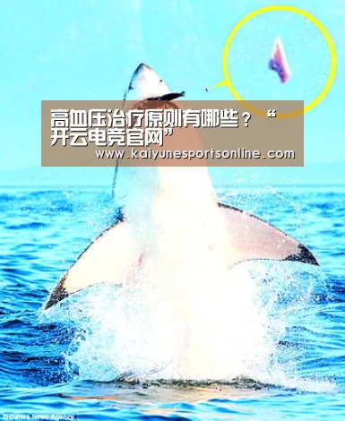 开云电竞