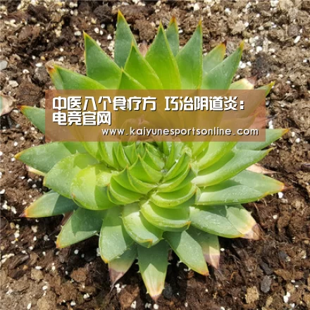 开云电竞官网