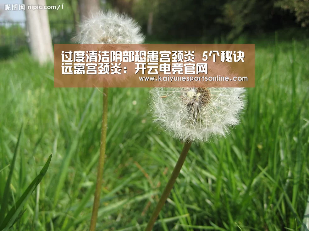 开云电竞