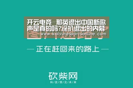 开云电竞官网